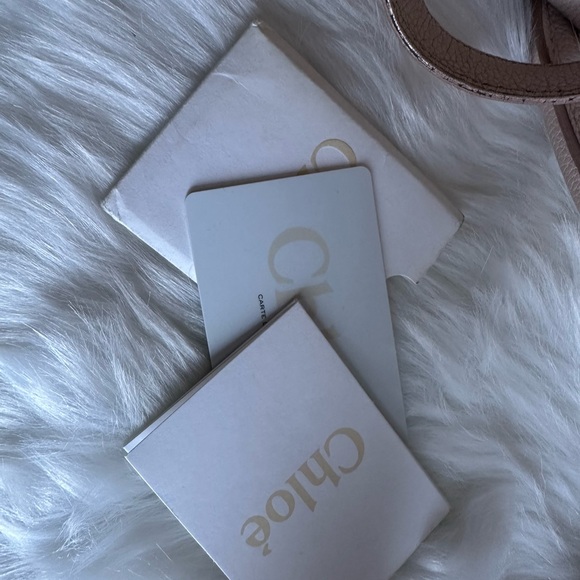 Chloe Paraty Blush Pink Leather Handbag - Picture 10 of 14